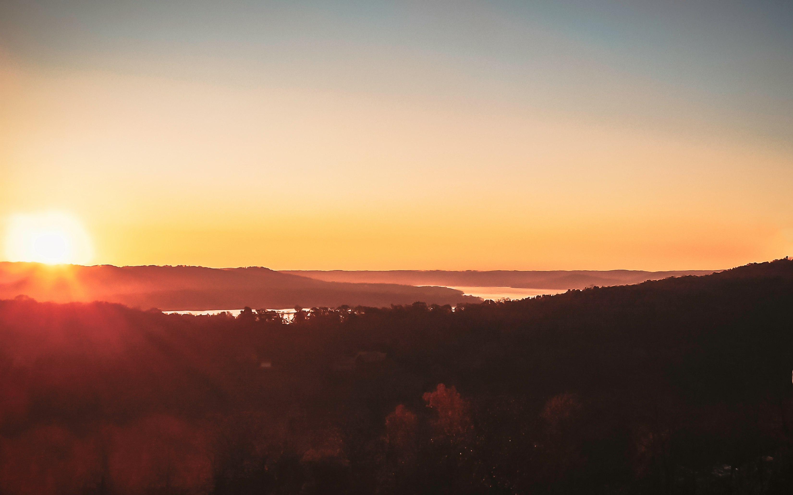 silhouette of trees during sunset